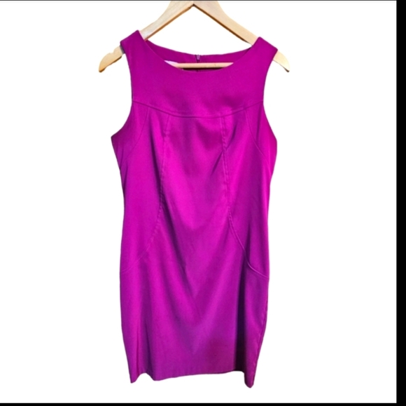 Alyx Limited Dresses & Skirts - Alyx Limited Dress, Fucia, sz. 10. Midi, sleeveless, round neck. Zipper in back.